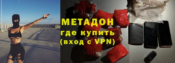 индика Вяземский