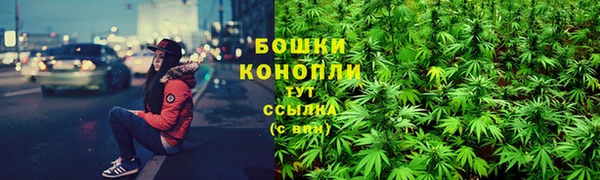 ешки Вязьма