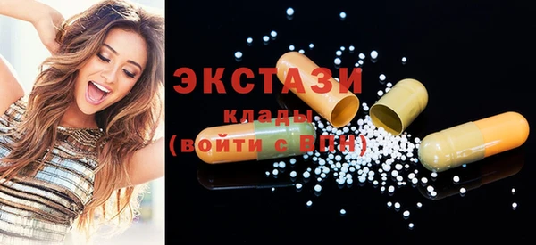 индика Вяземский
