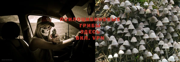 индика Вяземский