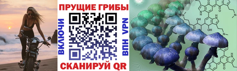 Псилоцибиновые грибы GOLDEN TEACHER  Купить где  Краснокамск 