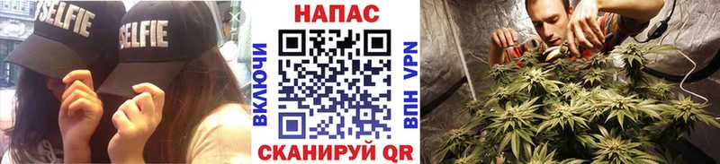 Купить закладки  Краснокамск  Бошки марихуана Ganja 